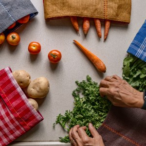 SHOBJI Fridge Bag Set for Veggies and Fruits